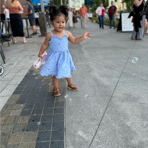 Blue Dress with US Flag Embroidery